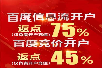 竞价推广策略解析：实战案例分析