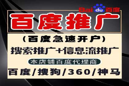 SEM竞价实战：成功案例解析